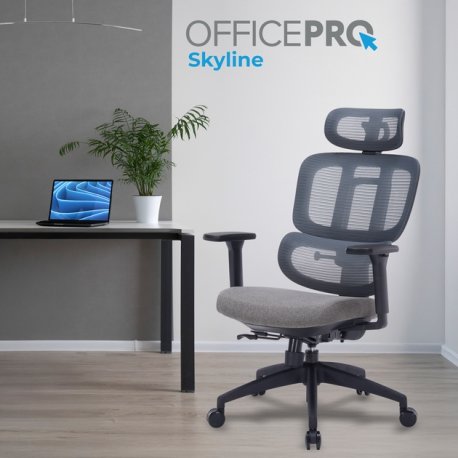 Офисное кресло OfficePro Skyline Black/Dark Gray (OC580-B-DG-DG)