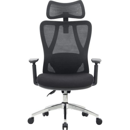 Офісне крісло OfficePro Aero Black (OC490B )