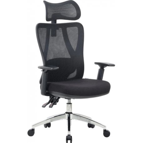 Офісне крісло OfficePro Aero Black (OC490B )