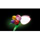 Конструктор LEGO Botanicals Букет тюльпанів (11501) Конструктор LEGO Botanicals Букет тюльпанів (11501)