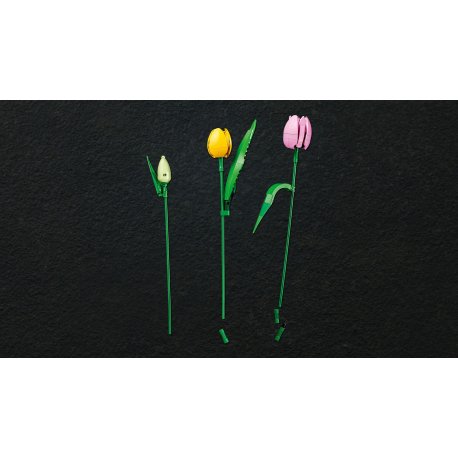 Конструктор LEGO Botanicals Букет тюльпанов (11501)