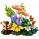 Конструктор LEGO Botanicals Лесные грибы (11505) Конструктор LEGO Botanicals Лесные грибы (11505)