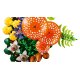 Конструктор LEGO Botanicals Лесные грибы (11505) Конструктор LEGO Botanicals Лесные грибы (11505)