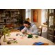 Конструктор LEGO Botanicals Лісові гриби (11505)