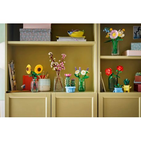 Конструктор LEGO Botanicals Ромашки (11508)