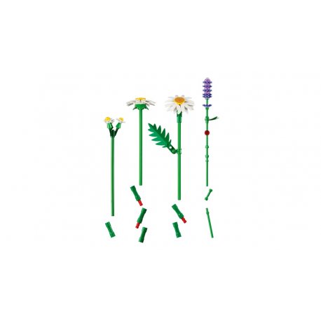 Конструктор LEGO Botanicals Ромашки (11508)