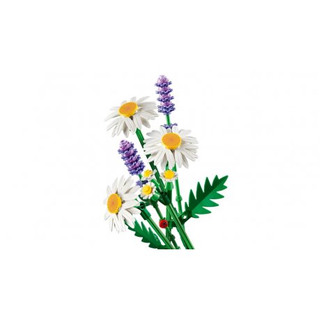 Конструктор LEGO Botanicals Ромашки (11508)