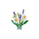 Конструктор LEGO Botanicals Ромашки (11508)
