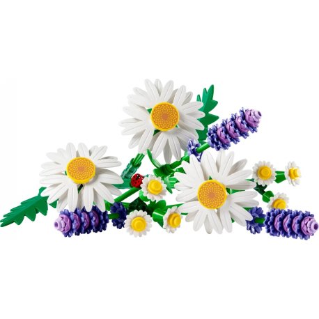Конструктор LEGO Botanicals Ромашки (11508)