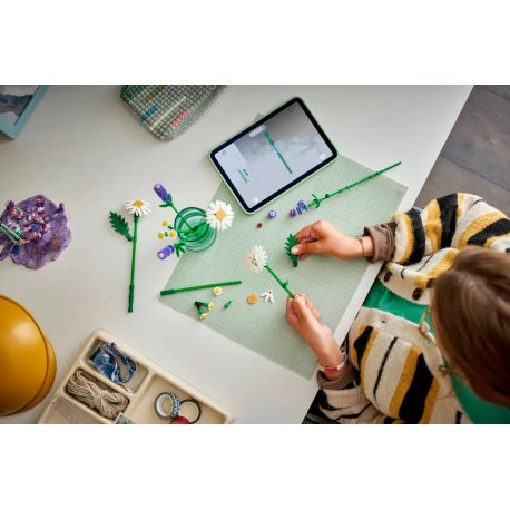 Конструктор LEGO Botanicals Ромашки (11508)