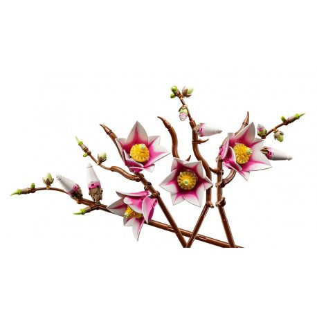 Конструктор LEGO Botanicals Ветки магнолии (11510)