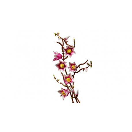 Конструктор LEGO Botanicals Ветки магнолии (11510)