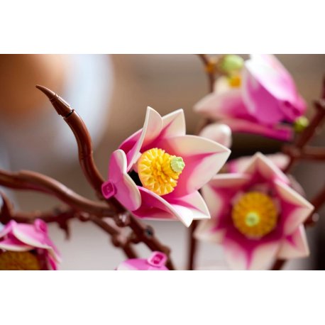 Конструктор LEGO Botanicals Ветки магнолии (11510)