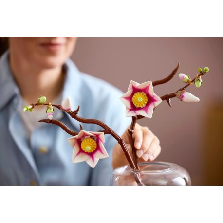 Конструктор LEGO Botanicals Ветки магнолии (11510)