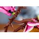 Конструктор LEGO Botanicals Гілки магнолії (11510)