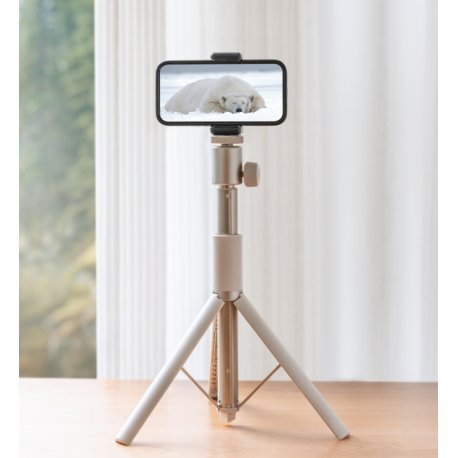 Портативна підставка Xgimi Light Gold Portable Stand (T011R)