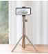 Портативна підставка Xgimi Light Gold Portable Stand (T011R)