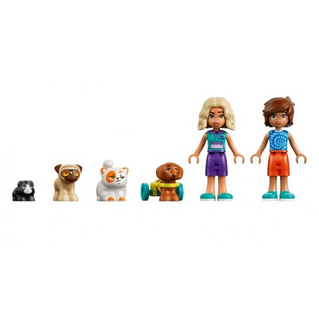 Конструктор LEGO Friends Веселый день в аквапарке (42676)