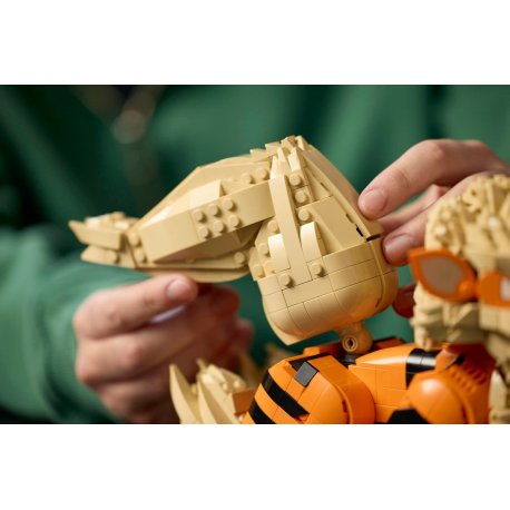 Конструктор LEGO Pokemon Арканайн (72160)