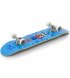 Скейтборд Enuff Skully Blue (ENU2100-BL)