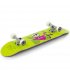 Скейтборд Enuff Skully Geen (ENU2100-GR)