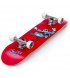 Скейтборд Enuff Skully Pink (ENU2100-RD)