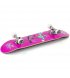 Скейтборд Enuff Skully Mini Pink (ENU2150-PK)