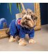 Дождевик для собак Pet Fashion Silver XS-2 (PR242991*****)