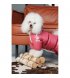 Комбинезон для собак Pet Fashion Cherry XL (PR243533*****)