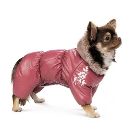 Комбинезон для собак Pet Fashion Cherry XL (PR243533*****)