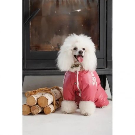 Комбинезон для собак Pet Fashion Cherry XL (PR243533*****)