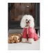 Комбинезон для собак Pet Fashion Cherry XL (PR243533*****)