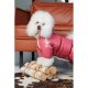 Комбинезон для собак Pet Fashion Cherry XL (PR243533*****) Комбинезон для собак Pet Fashion Cherry XL (PR243533*****)