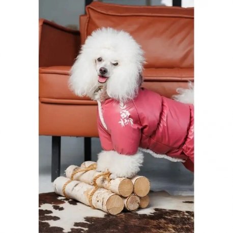 Комбинезон для собак Pet Fashion Cherry XL (PR243533*****)