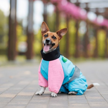 Комбинезон для собак Pet Fashion Den ML (PR243977)