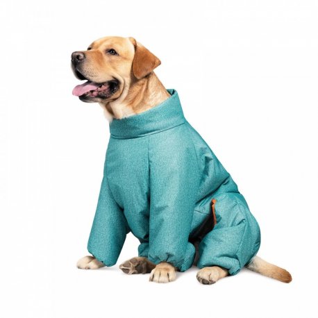 Комбинезон для собак Pet Fashion Cold XS (PR242529)