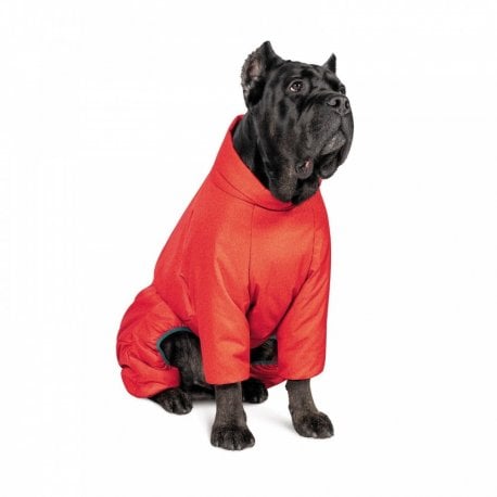 Комбинезон для собак Pet Fashion Cold XS такса (PR242536)