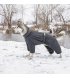 Комбинезон для собак Pet Fashion Cold XS (PR242624)