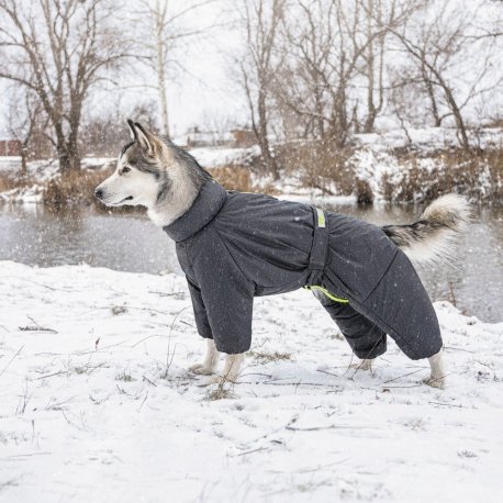 Комбинезон для собак Pet Fashion Cold XS (PR242624)