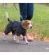 Комбинезон для собак Pet Fashion Rain XS (PR242642)