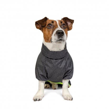 Комбінезон для собак Pet Fashion Rain XS (PR242642)