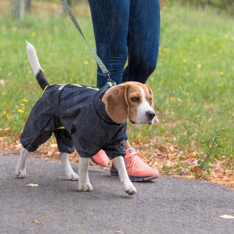 Комбинезон для собак Pet Fashion Rain XS (PR242642)