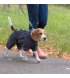Комбинезон для собак Pet Fashion Rain XS (PR242642)