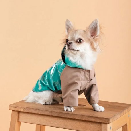 Дождевик для собак Pet Fashion Semmy M (PR243452*****)