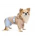 Дождевик для собак Pet Fashion Tina XL (PR243519*****)
