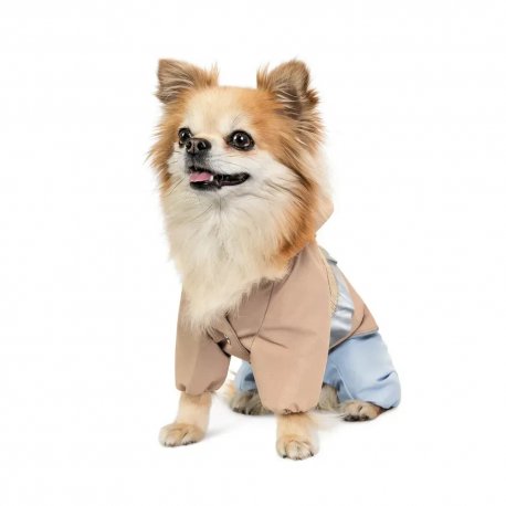 Дождевик для собак Pet Fashion Tina XL (PR243519*****)