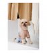Дождевик для собак Pet Fashion Tina XL (PR243519*****)