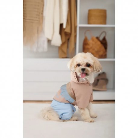 Дождевик для собак Pet Fashion Tina XL (PR243519*****)