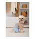 Дождевик для собак Pet Fashion Tina XL (PR243519*****)