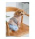 Дождевик для собак Pet Fashion Tina XL (PR243519*****)